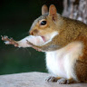 Meet your Posher, Vincent